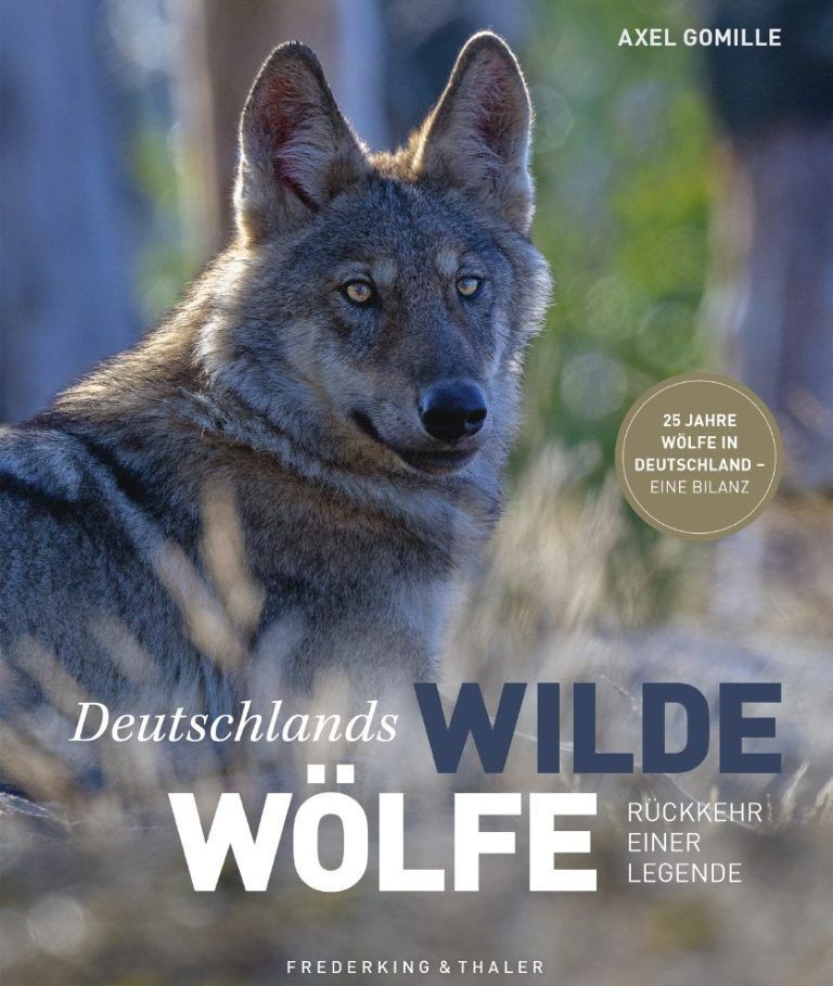 Bild Buch Bild Buch
