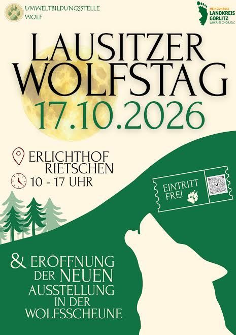 Bild 1 Flyer Wolfstag