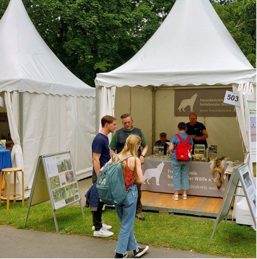 Bild INFO-Pavillon beim Tag der Niedersachsen Bild INFO-Pavillon beim Tag der Niedersachsen