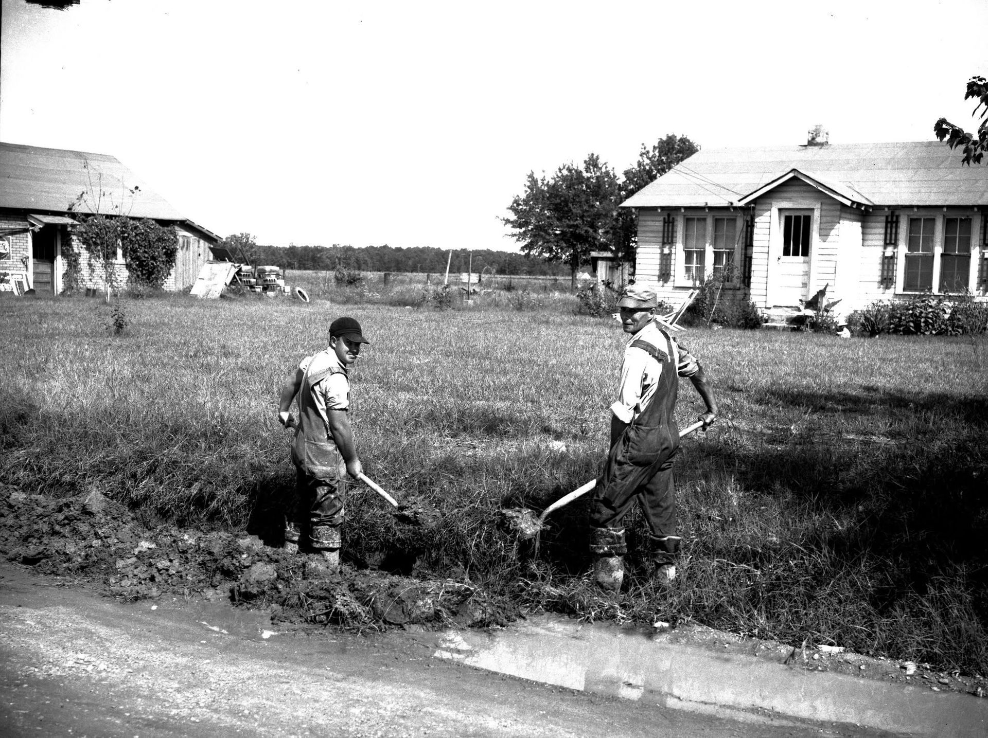 historic black and white photo of farmers in field in Greene County, AR