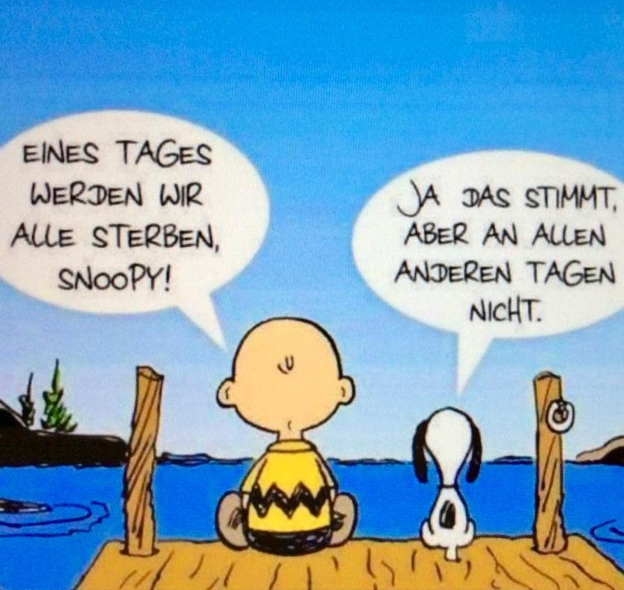 Ein Cartoon von Charlie Brown und Snoopy, die auf einem Dock sitzen