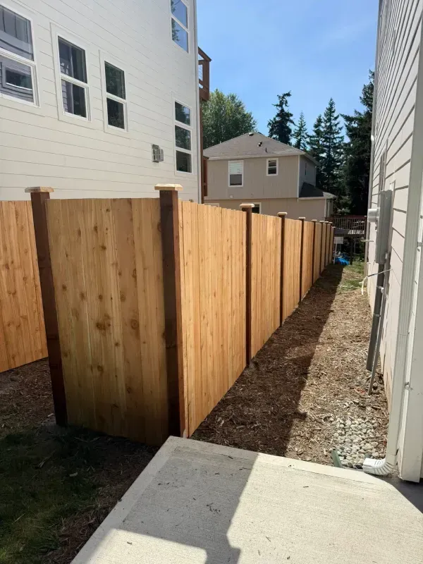 A wooden fence between two houses, with a concrete patio in the foreground and a blue sky above.