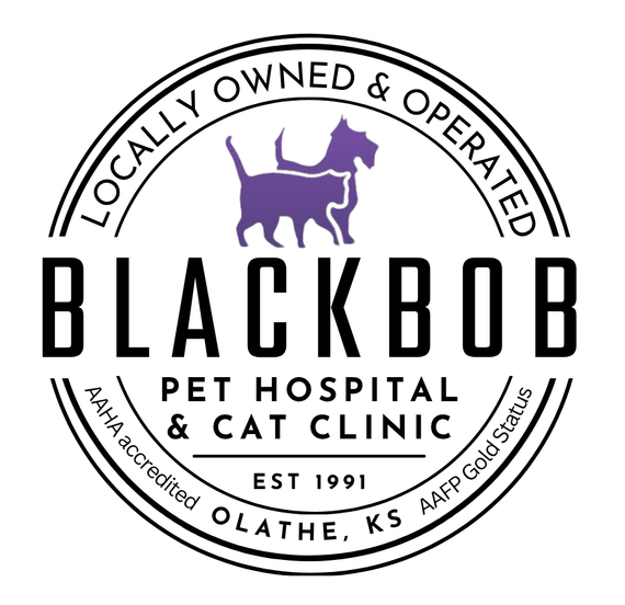 Blackbob Pet Hospital & Cat Clinic Logo