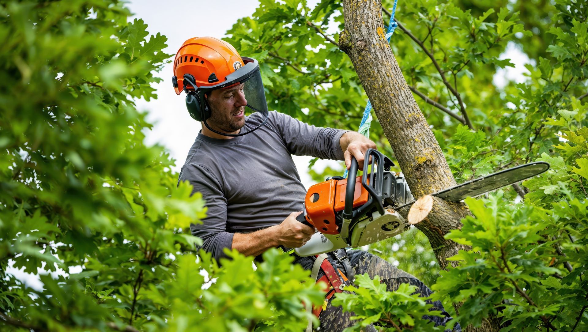 Arborist using chainsaw in a tree, wearing safety gear and cutting a branch. Arborist using chainsaw in a tree, wearing safety gear and cutting a branch.