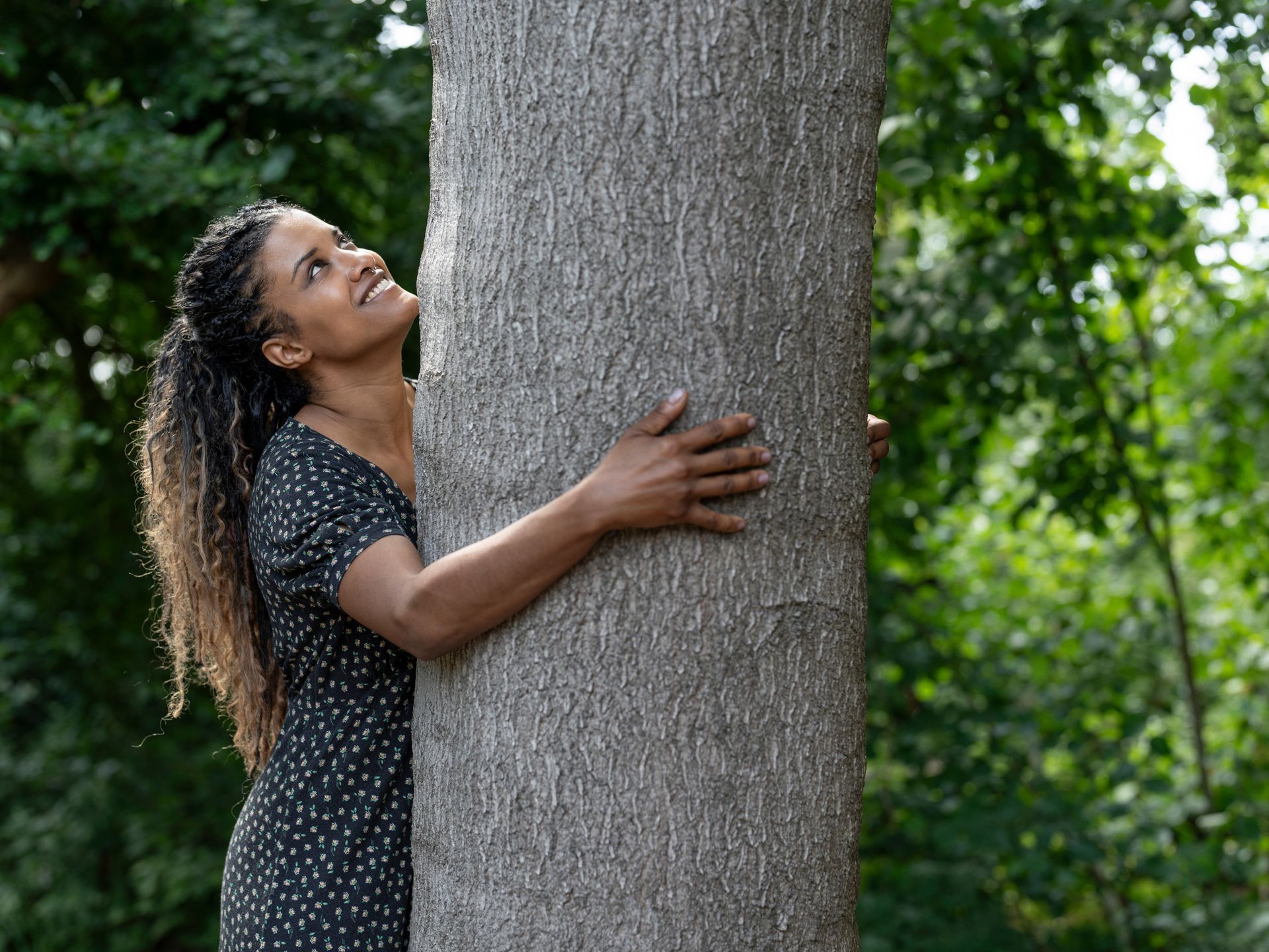 Woman hugging a tree trunk outdoors, smiling and looking up. Woman hugging a tree trunk outdoors, smiling and looking up.
