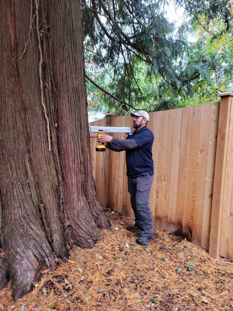 Arborist cutting tree with chainsaw, wearing protective helmet and face shield, in sunlight. Arborist cutting tree with chainsaw, wearing protective helmet and face shield, in sunlight.