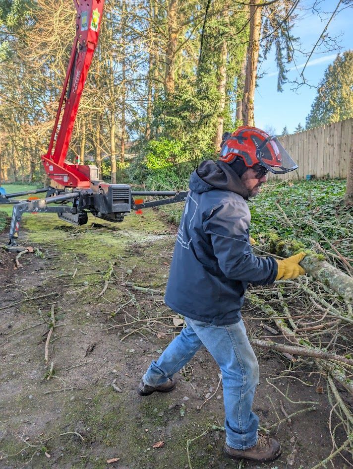 A person in safety gear cutting branches near a red lift in a wooded area. A person in safety gear cutting branches near a red lift in a wooded area.