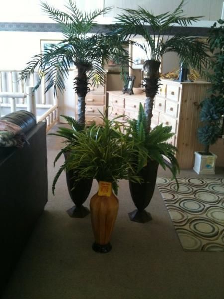 fake palm trees