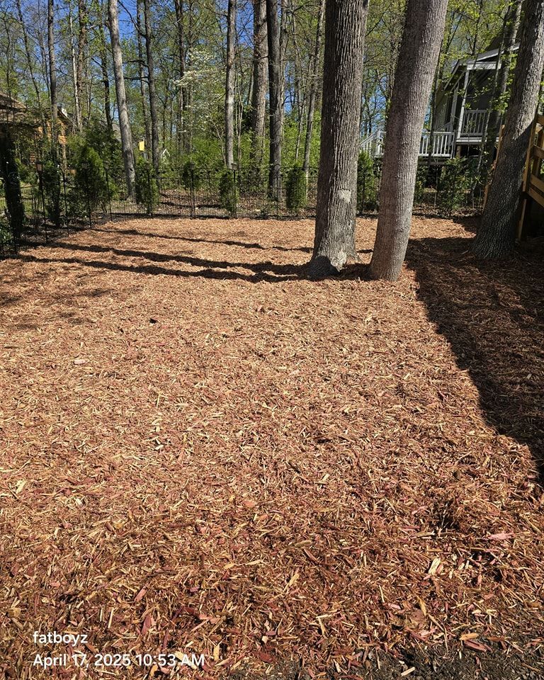 Mulched backyard area with tall trees and a house partially visible on the right