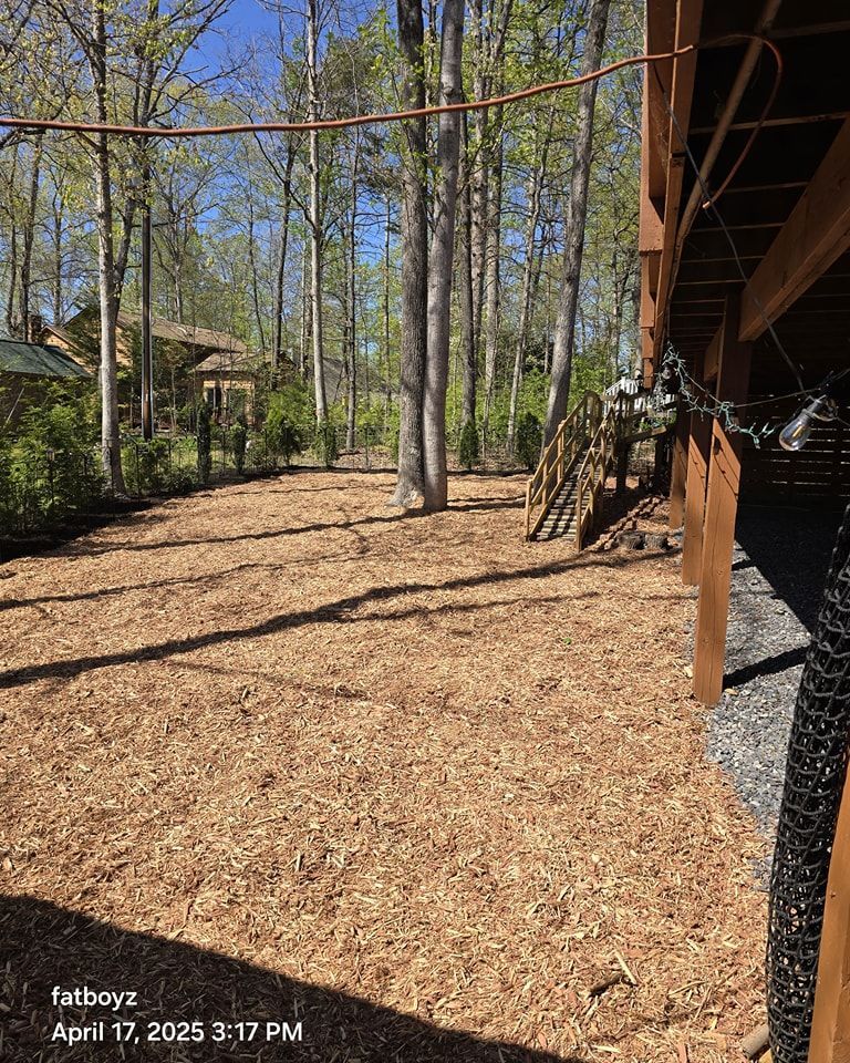 Wooded backyard with mulch ground, tall trees, a cabin deck on the right, and a clothesline overhead