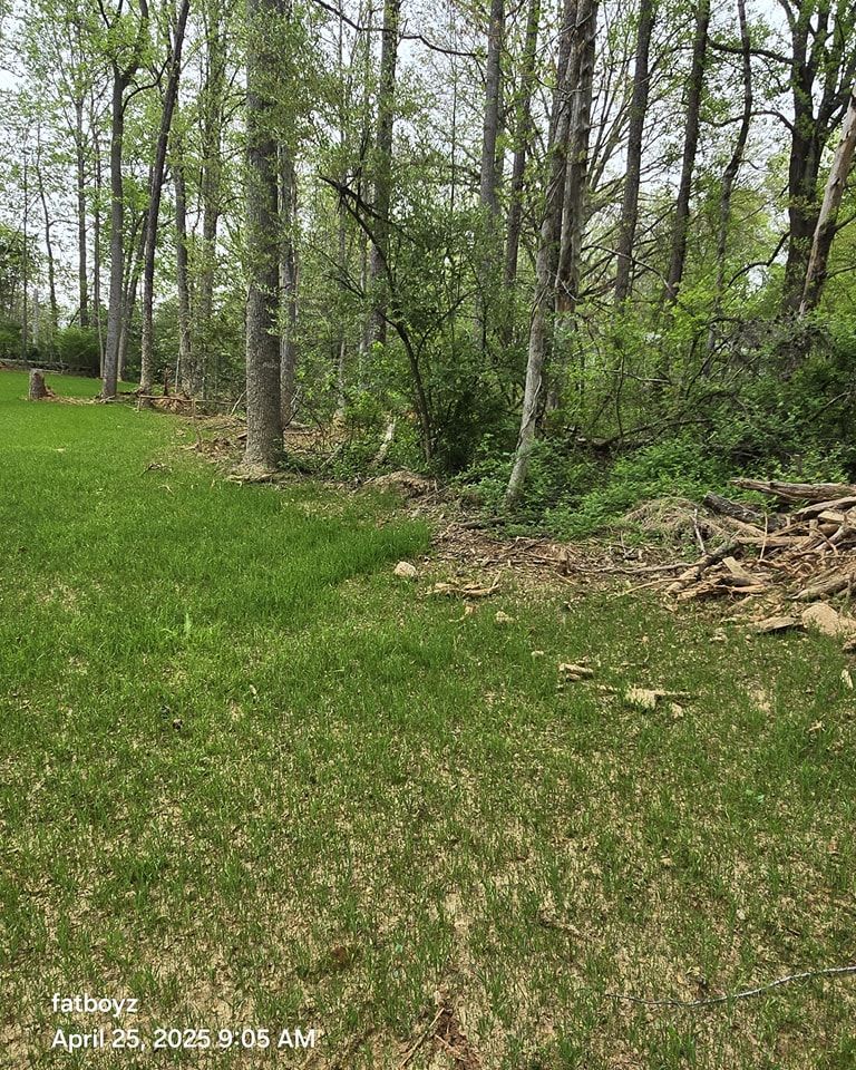 Wooded park edge with green grass, tall trees, and a small pile of branches on the right.