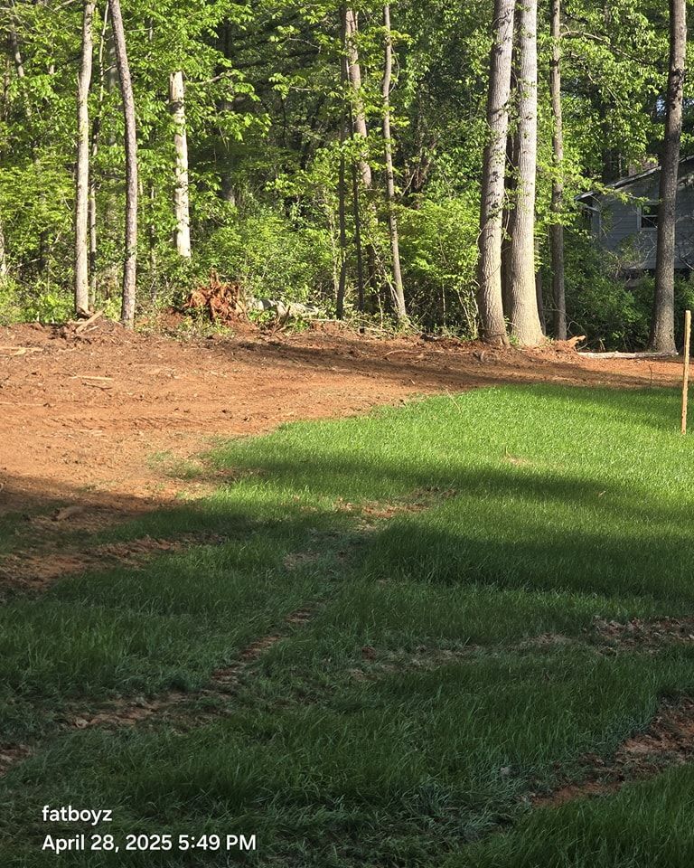 Wooded backyard edge with green lawn, bare dirt, and tall trees in evening light