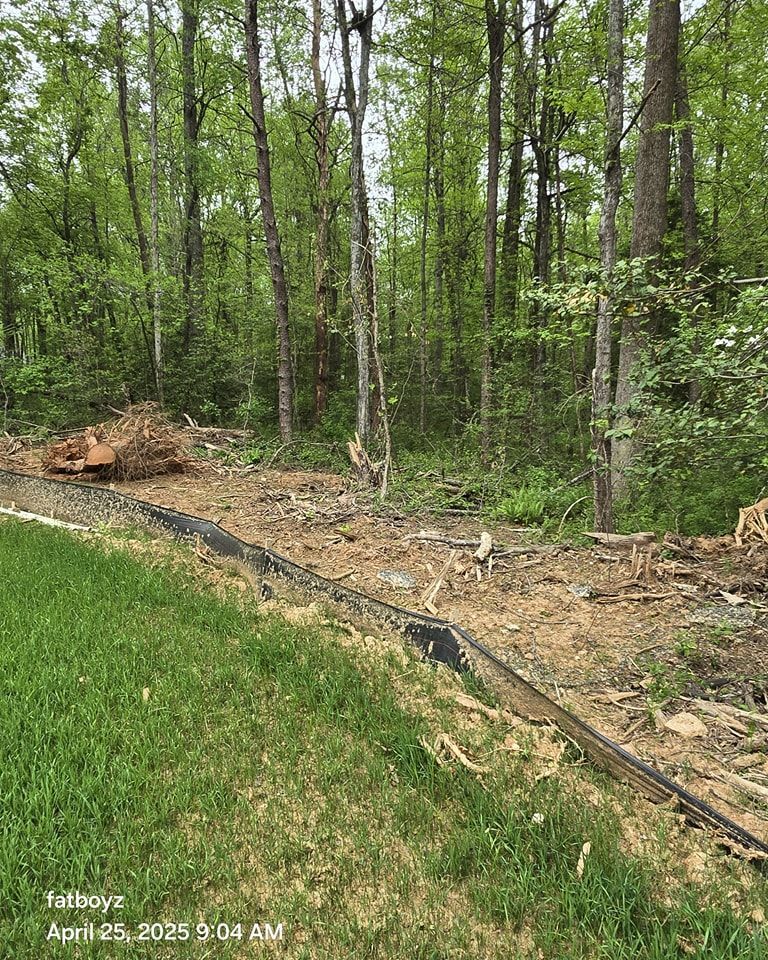 Wooded backyard edge with a dirt trench beside a green lawn and black drainage pipe