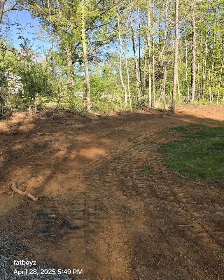 Dirt path through a wooded area with tall trees and morning sunlight