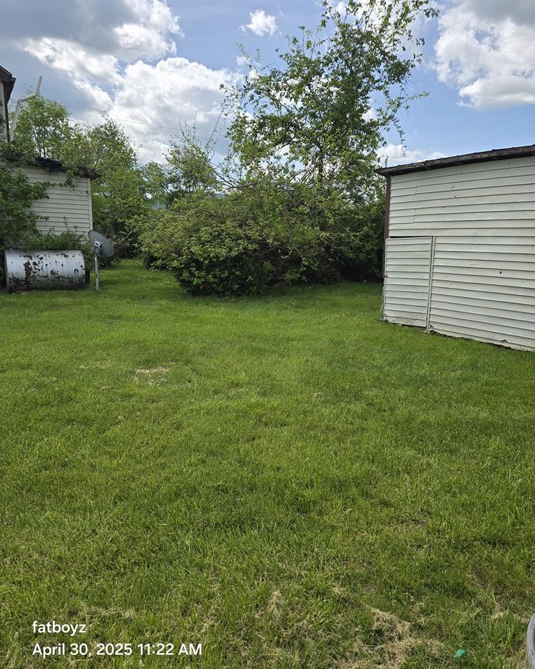 Grassy backyard between two white sheds, with trees and bushes under a partly cloudy sky.