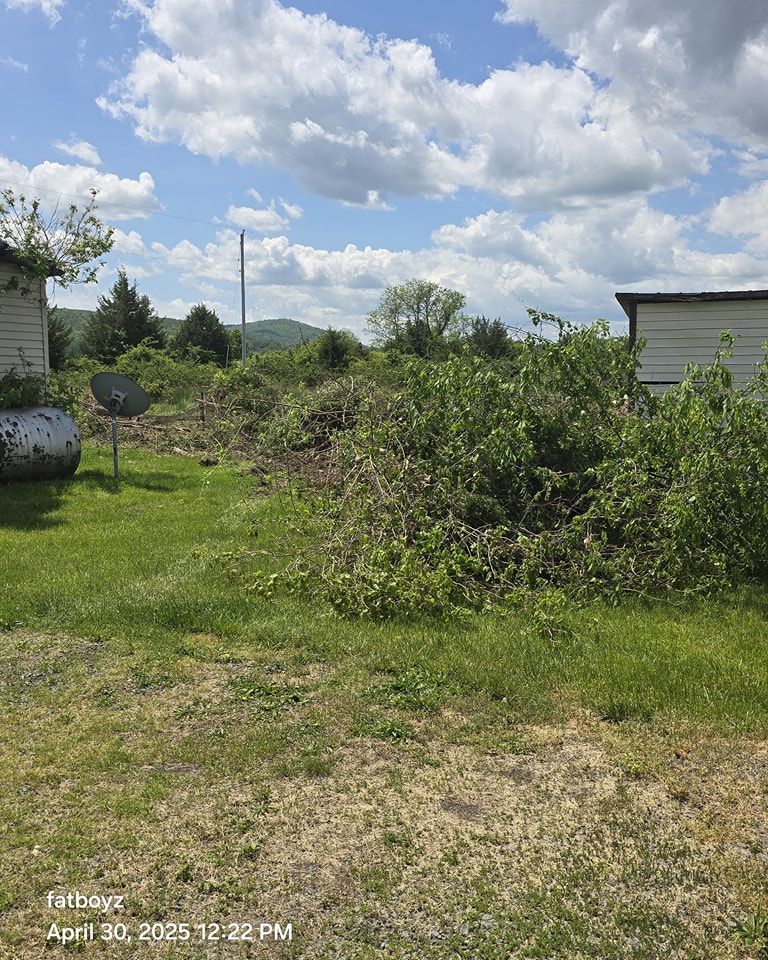 Overgrown yard with tall brush, a green lawn, and two white buildings under a cloudy sky.