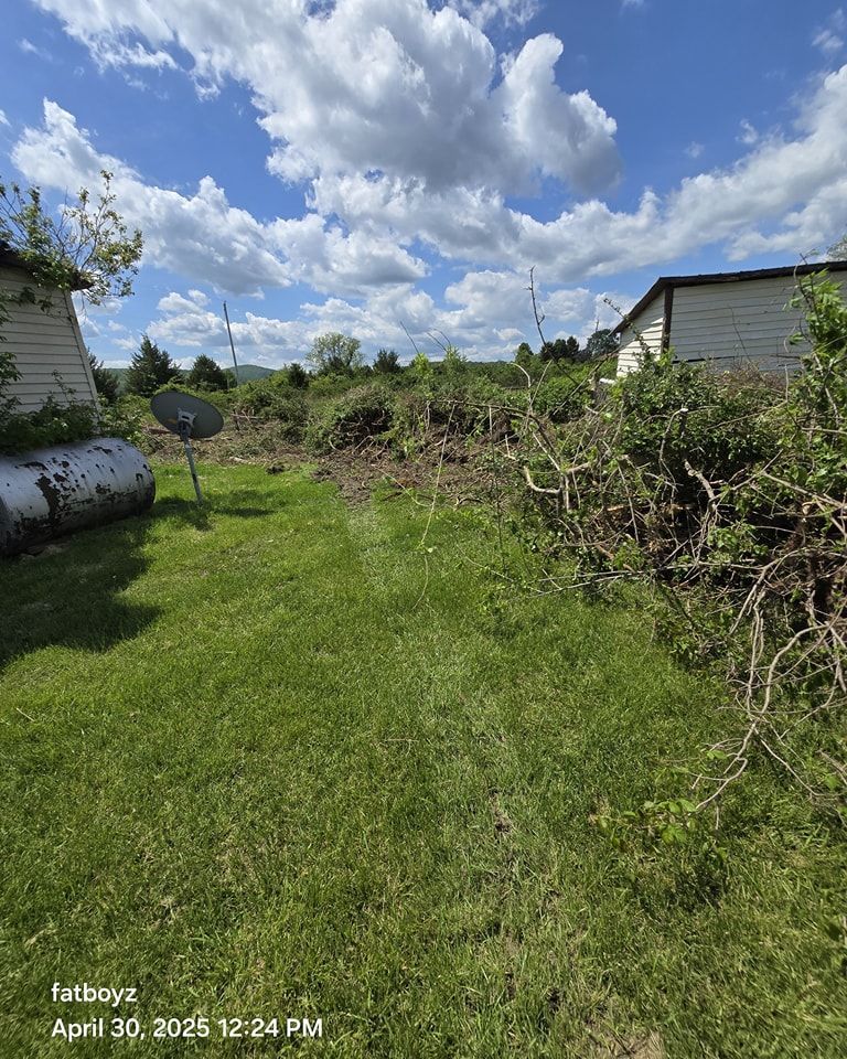 Grassy yard with brush piles, cloudy blue sky, and a small shed in the distance.