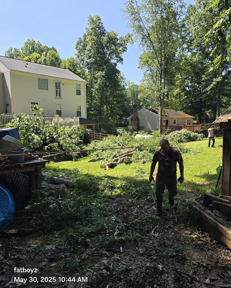 Person standing in a sunny backyard garden with a house, trees, and tools scattered around.