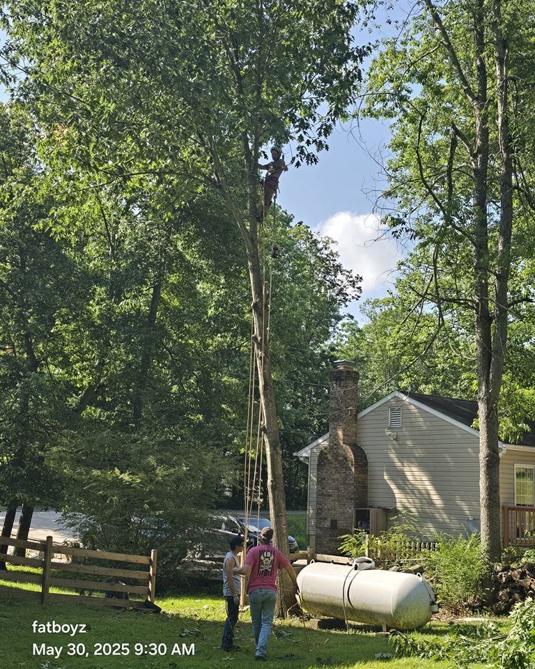 Two people in a wooded yard beside a bucket truck, trimming a tall tree near a house.