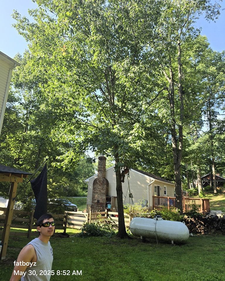 Backyard with tall trees, fence, shed, propane tank, and a person wearing sunglasses in the lower left.