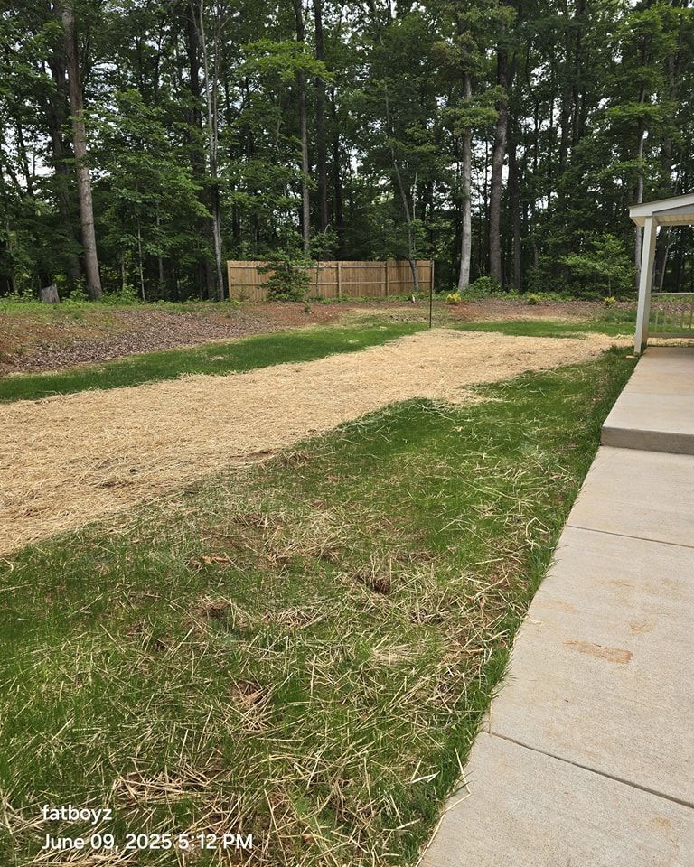 Backyard with a dirt/gravel path, grassy lawn, concrete patio, and wooded fence line