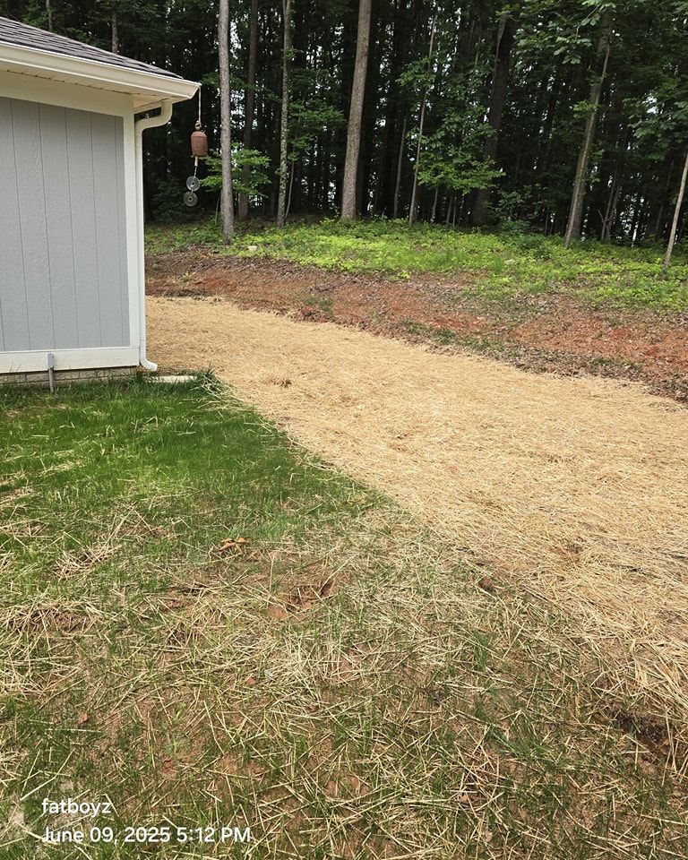 Gravel path beside a shed leading to a wooded backyard with grass and trees.
