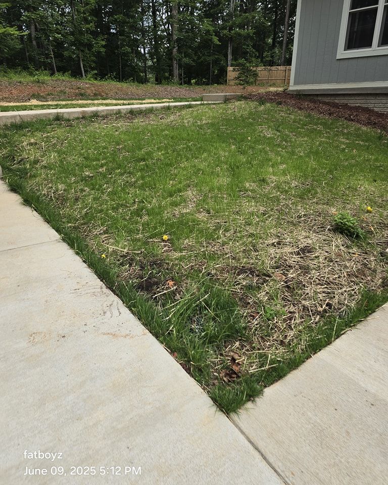 Patchy front lawn beside a concrete sidewalk and house corner, with trees in the background.