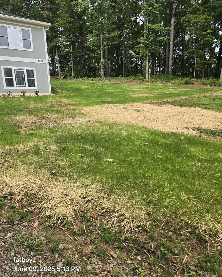 Backyard lawn beside a gray house, with patchy grass and a wooded treeline.