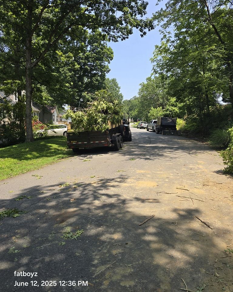 Tree-lined residential street with parked trucks and dappled sunlight on the road