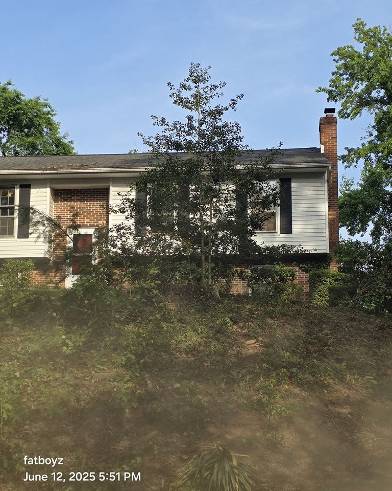 Suburban house with white siding, brick chimney, and tall tree in the front yard under a blue sky