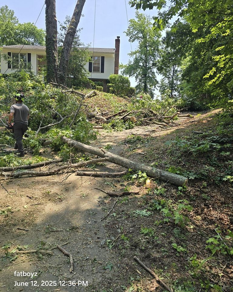 Storm damage in a wooded yard near a house, with fallen trees and branches blocking a dirt path.