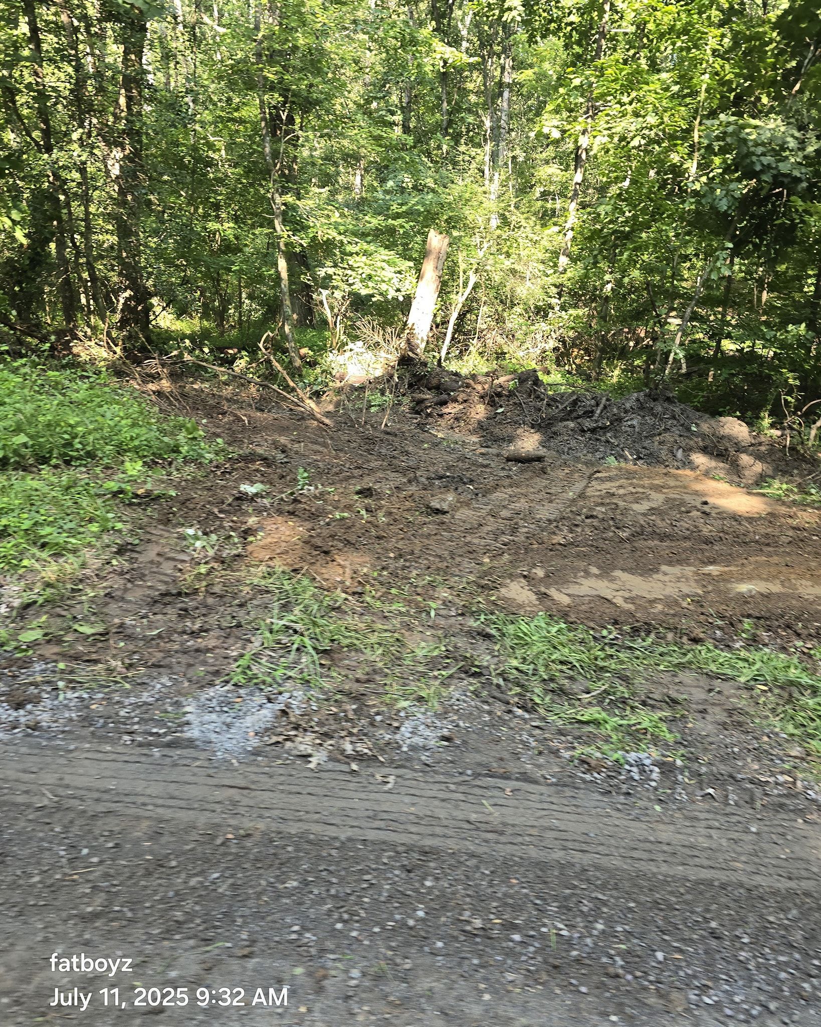 Forest road with muddy gravel and puddles beside dense green trees in sunlight