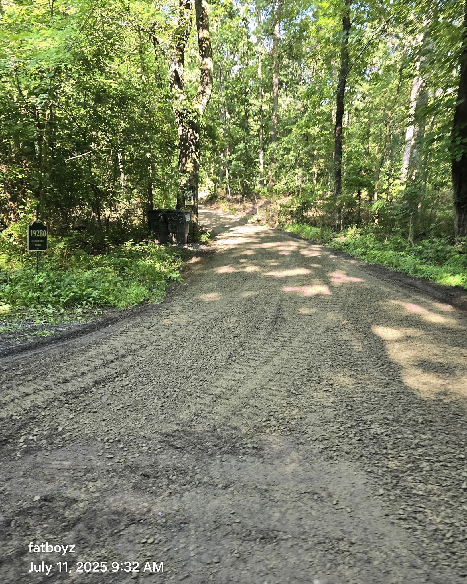 Sunlit gravel trail winding through a dense green forest