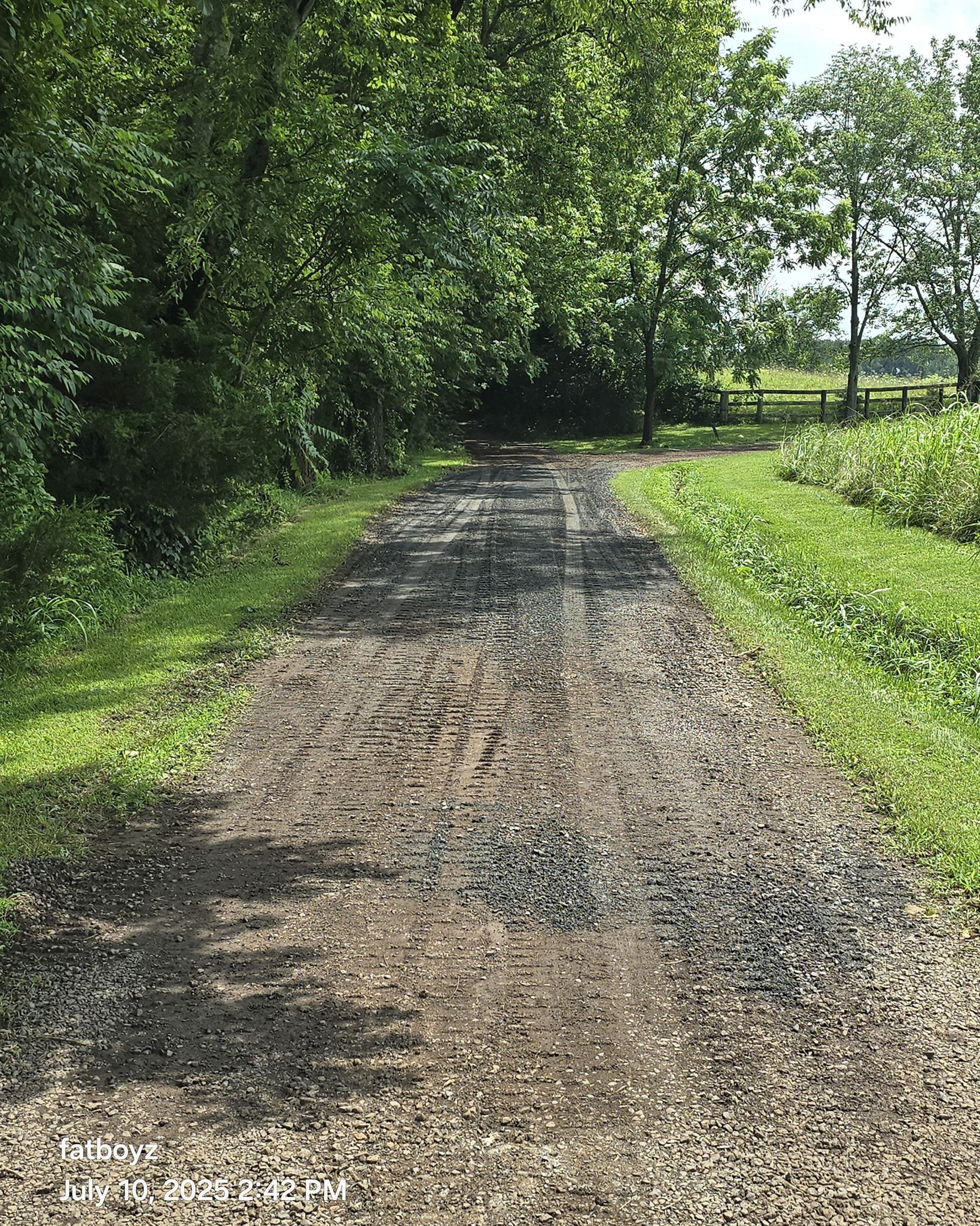 Gravel path through lush green trees on a sunny day