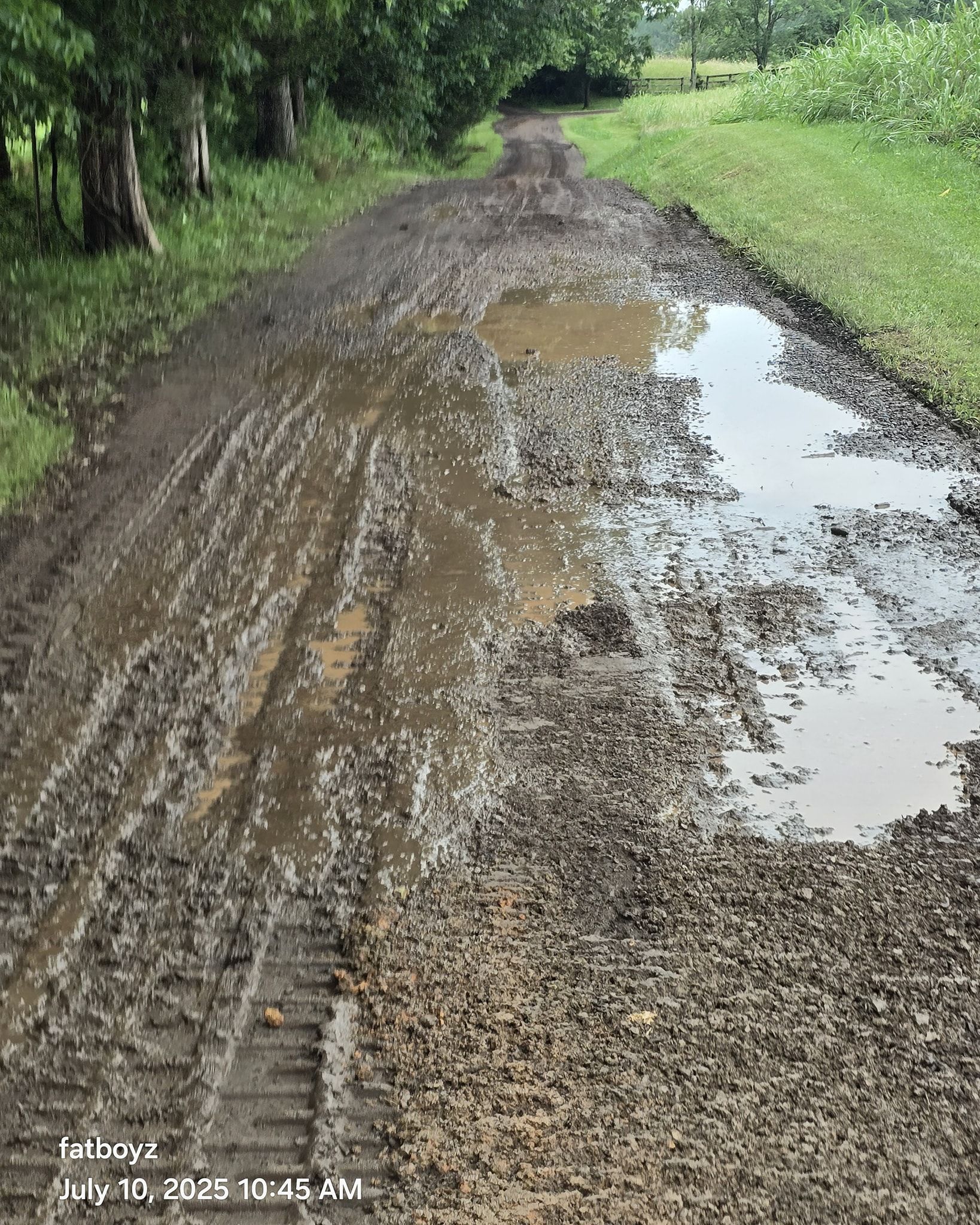 Muddy gravel road with large puddles, bordered by green grass and trees.