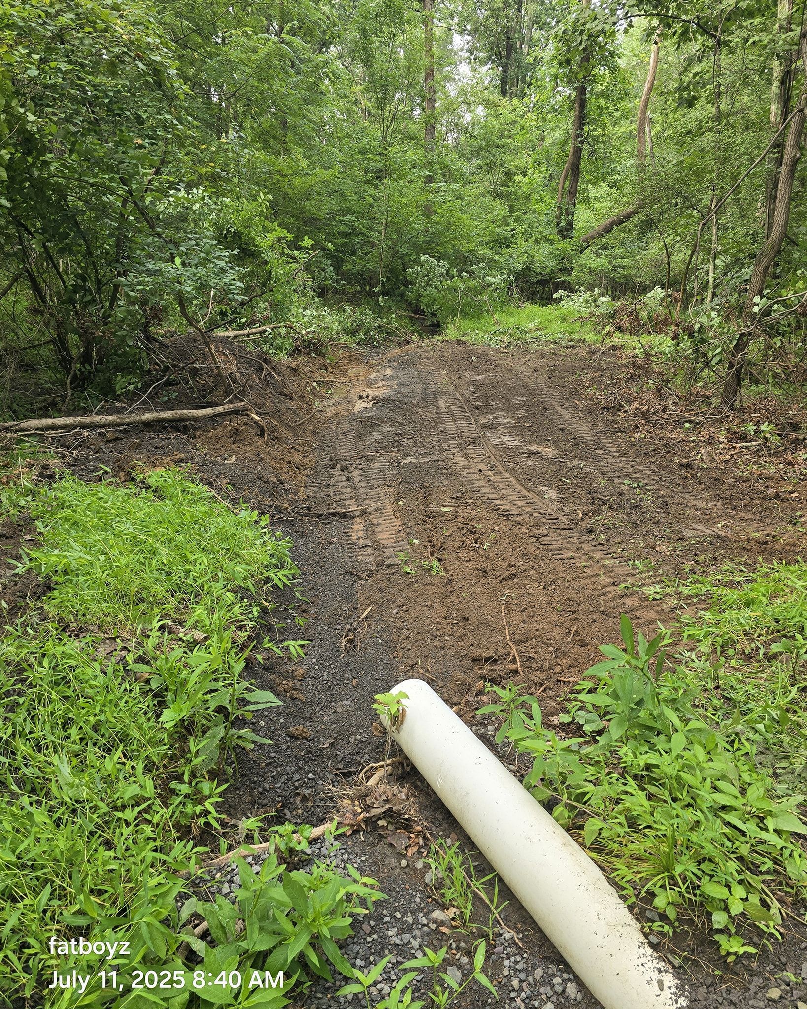 Muddy forest trail with a white pipe lying across the path