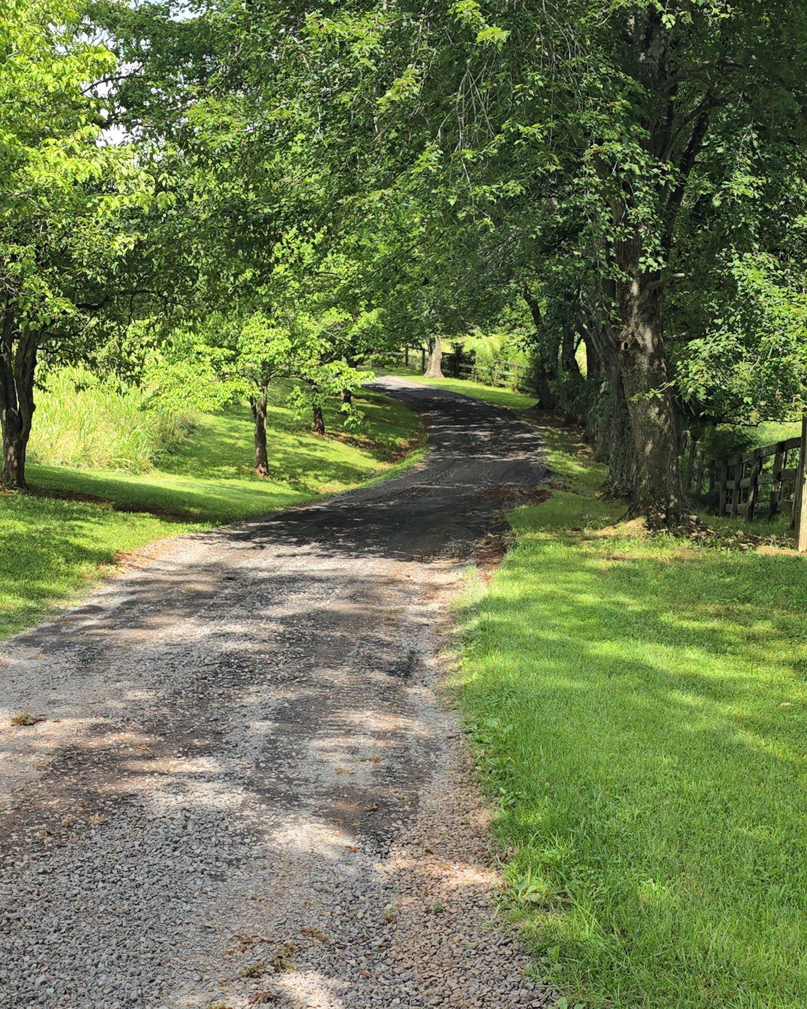 Sunlit gravel path winding through a lush green wooded park