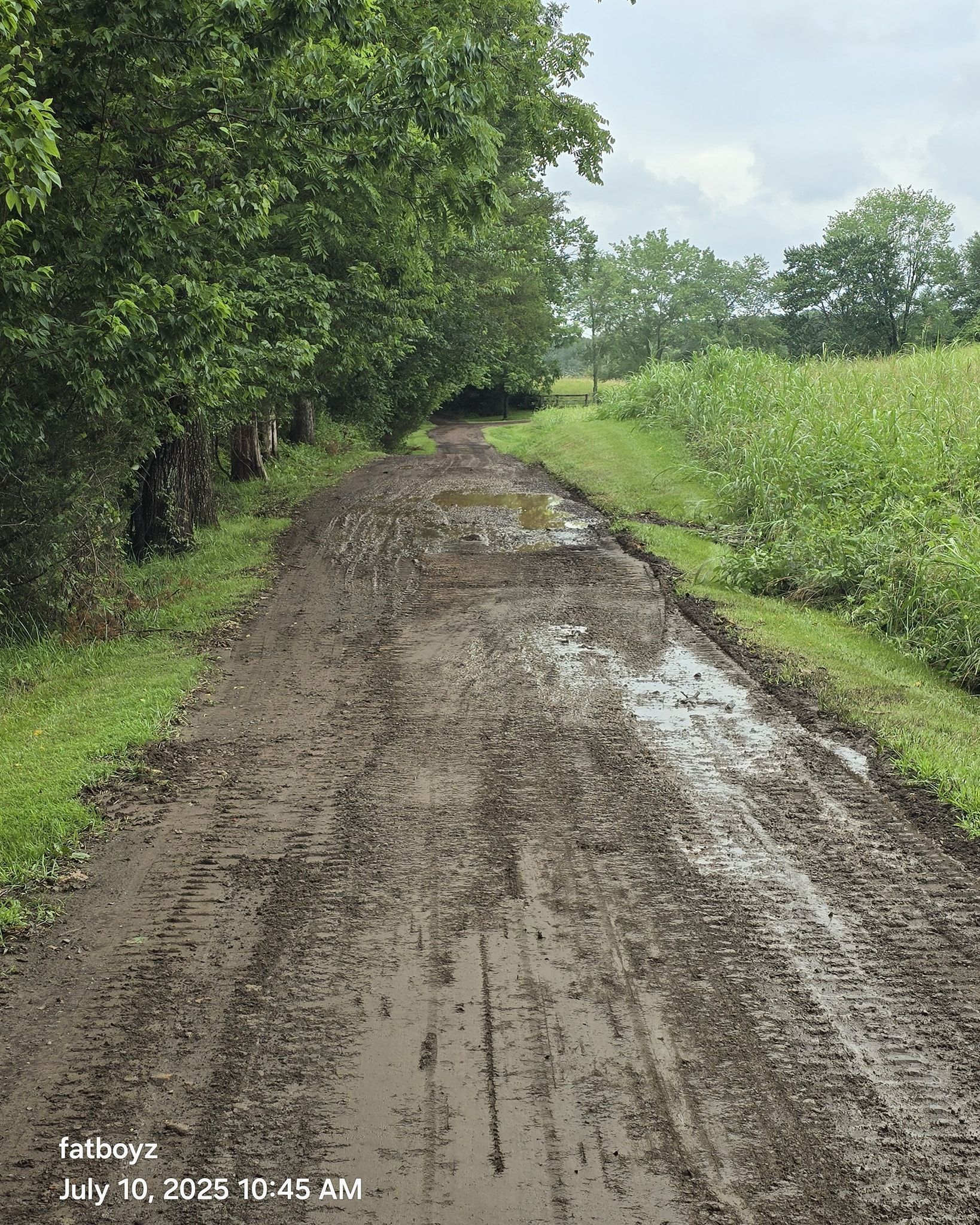 Muddy dirt road beside green trees and fields under a cloudy sky