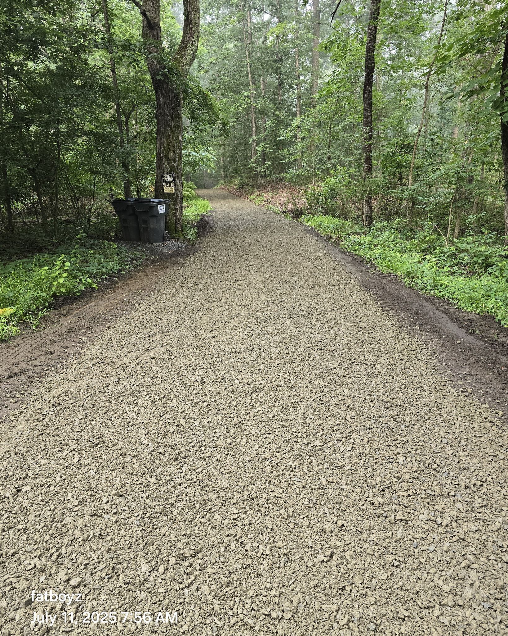 Gravel path winding through a lush green forest under tall trees