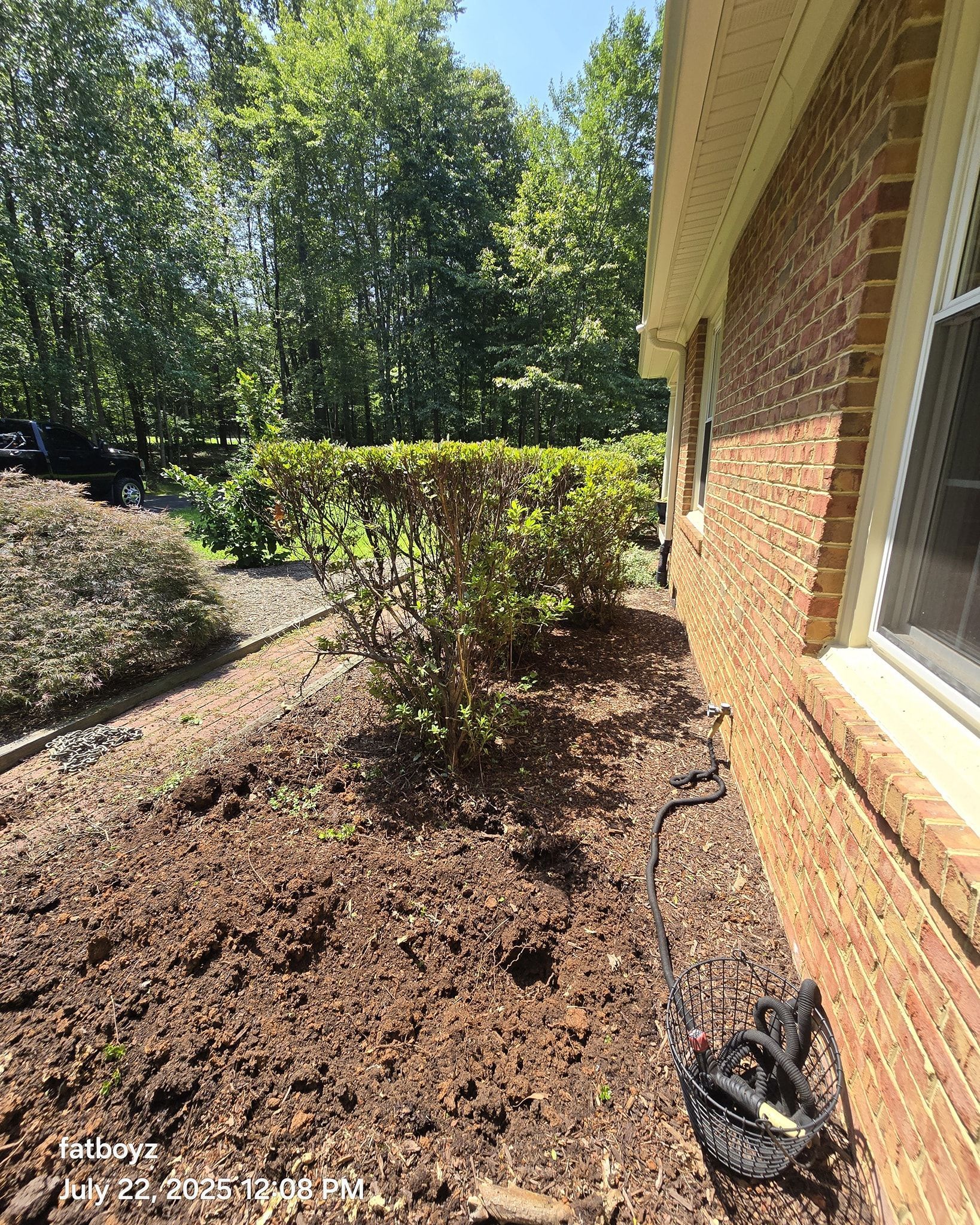 Mulched garden bed beside a brick house, with shrubs and trees in bright sunlight.