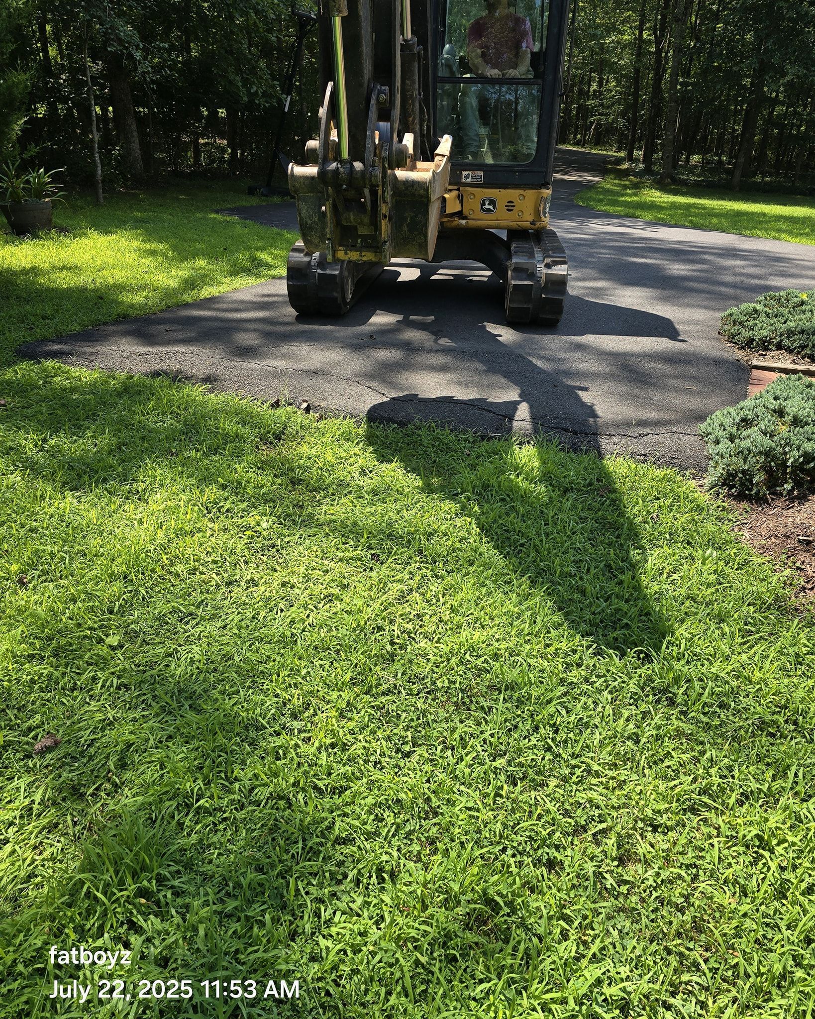 A yellow excavator on a gravel path beside bright green ground cover in a wooded area.