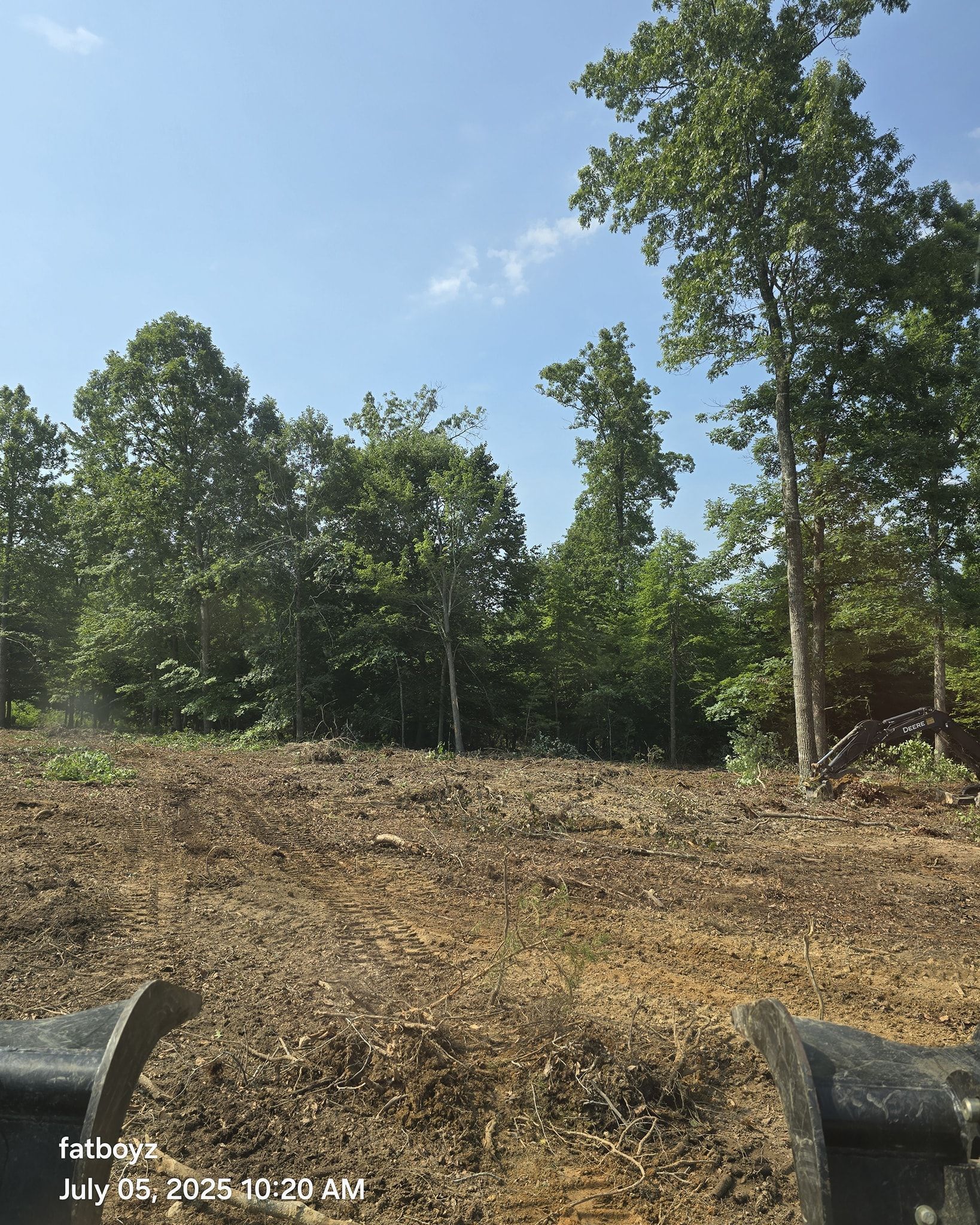 Wooded hillside under a blue sky, with brown ground cover and a small rock in the foreground.