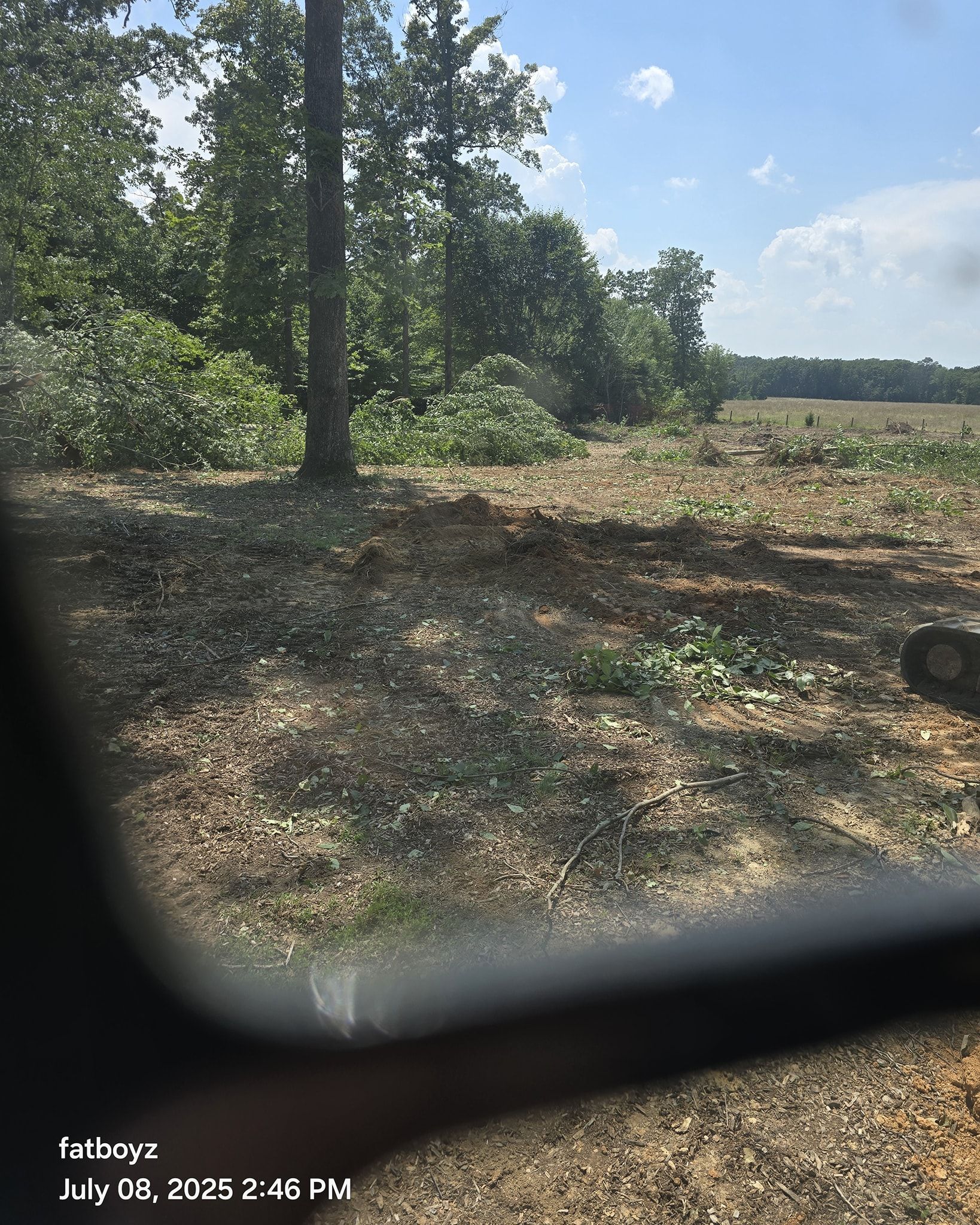 Sunlit wooded clearing with cut brush and trees under a partly cloudy sky, seen through a car window.