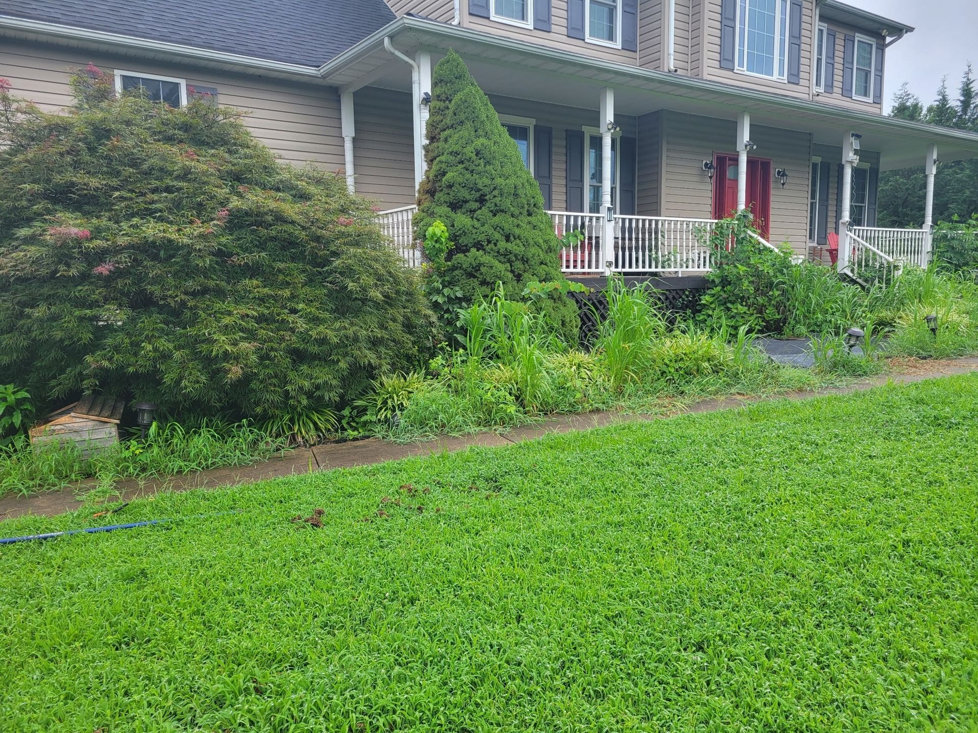 Brick house with white porch and red door behind a lush green lawn and shrubs
