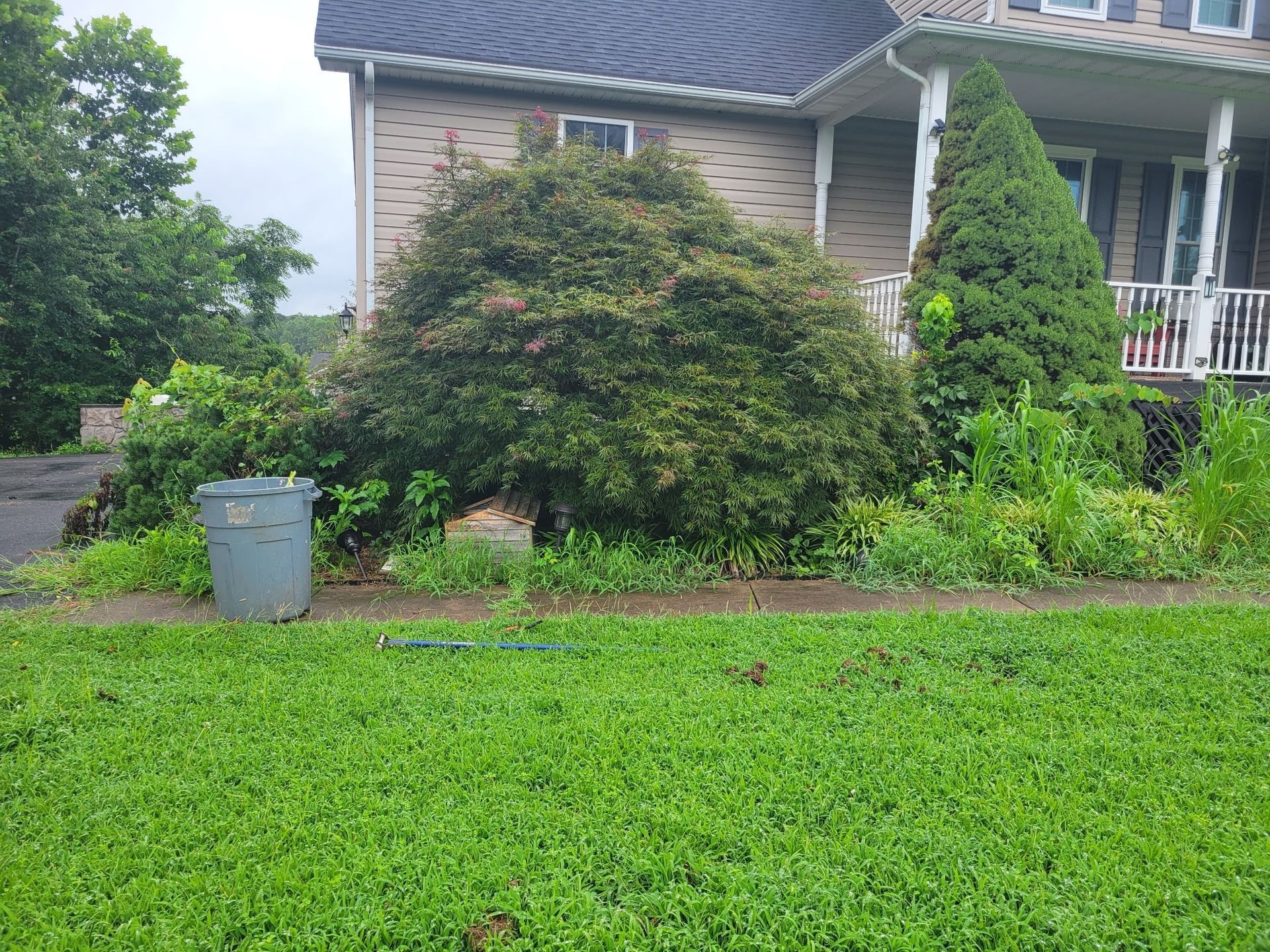 Suburban house front yard with green lawn, shrubs, and a gray trash bin near the driveway