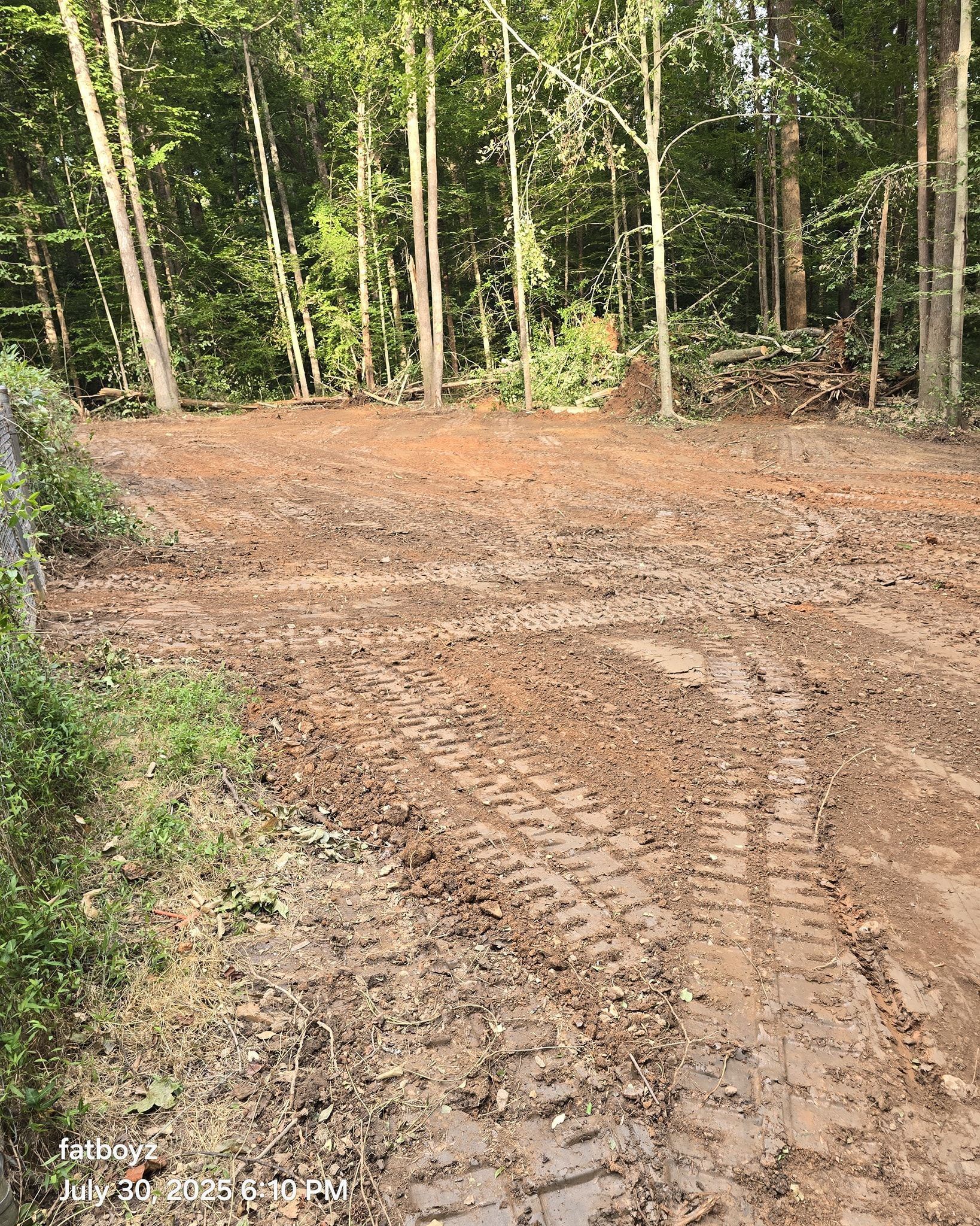 Dirt clearing with tire tracks beside a forest of tall green trees