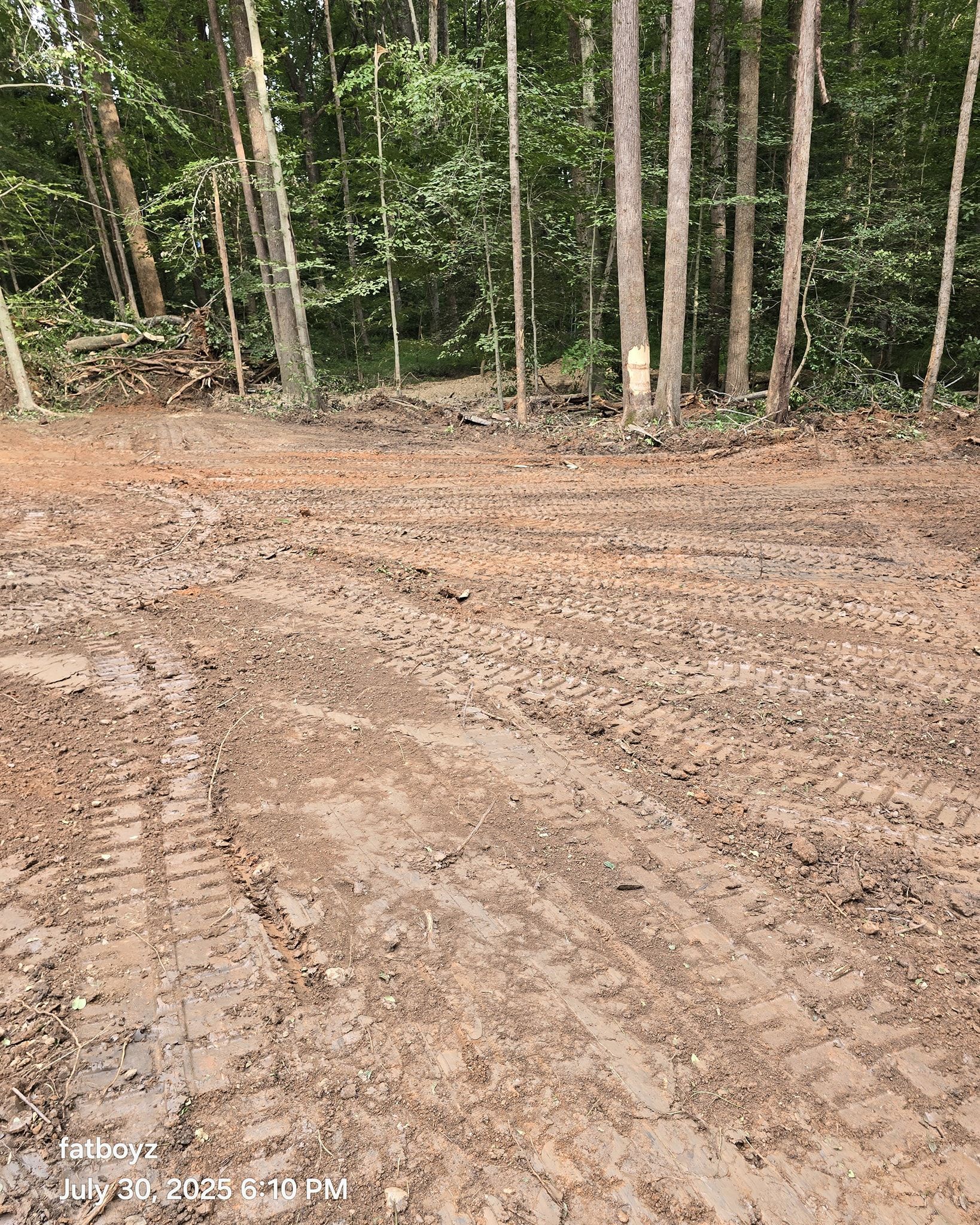 Muddy dirt road or clearing in a wooded forest with tire tracks and tall trees in the background