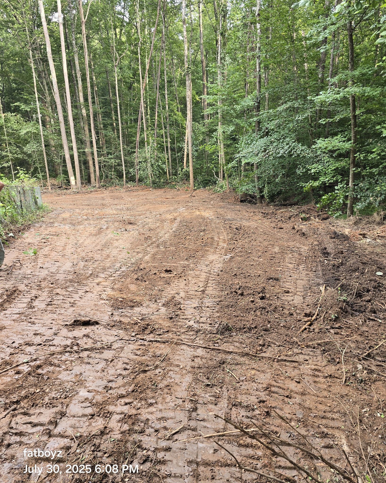 Muddy dirt road winding through a dense green forest with tall trees on both sides