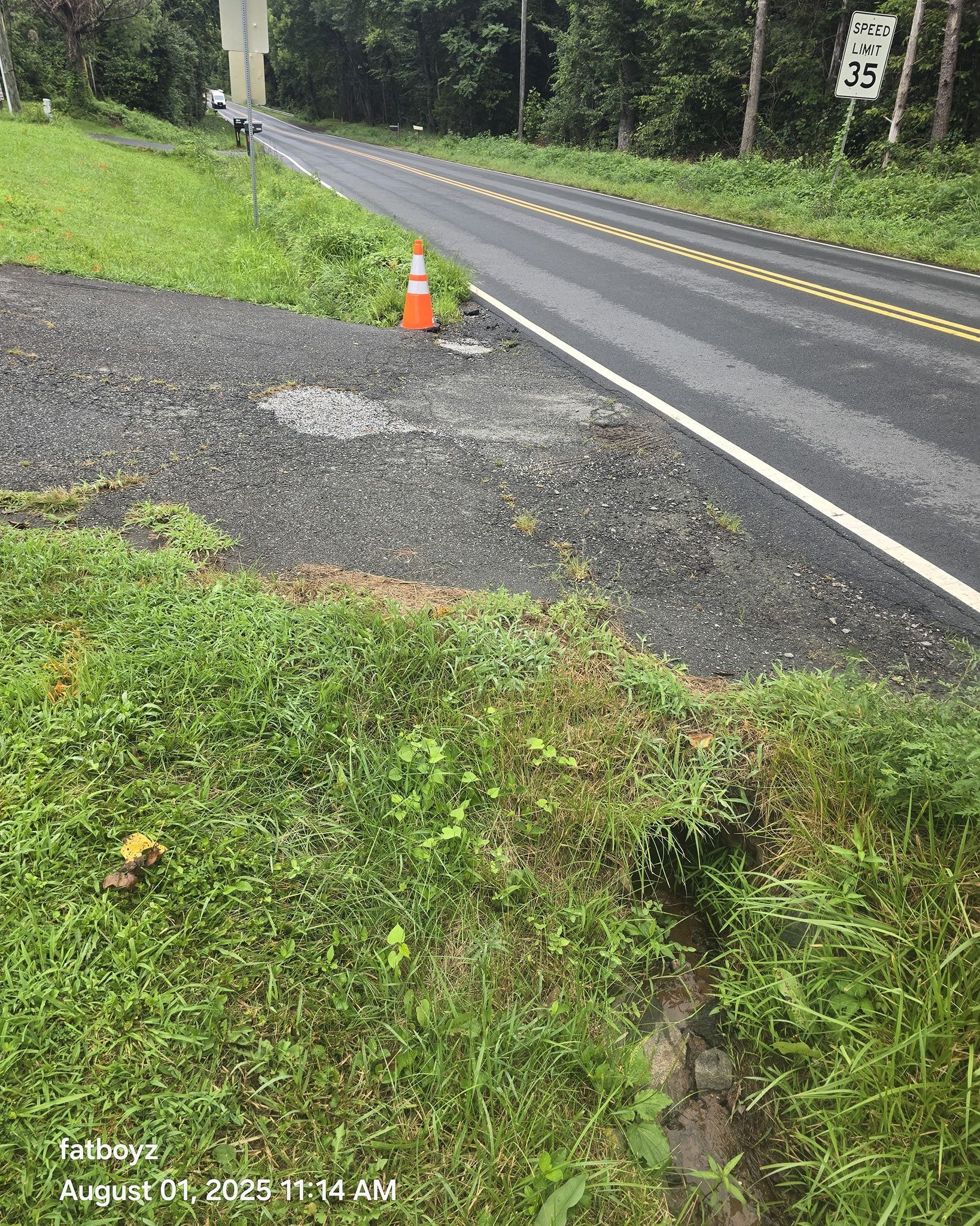 Rural road shoulder with an orange traffic cone beside a wet, curving asphalt road in a wooded area