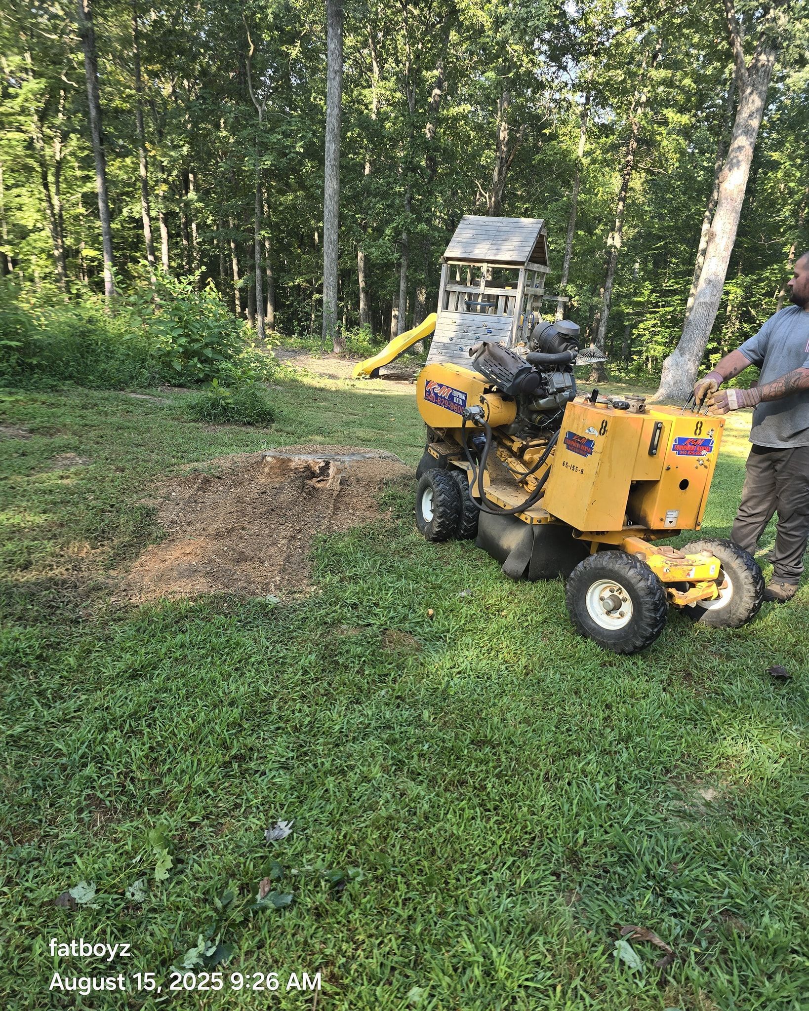 Yellow stump grinder working in a wooded yard, with a person standing beside it.